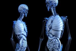 Can You Get Genital Warts on Your Stomach? Facts Unveiled