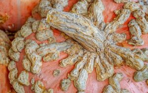 Why Warts on Neck: Causes and Treatment Strategies