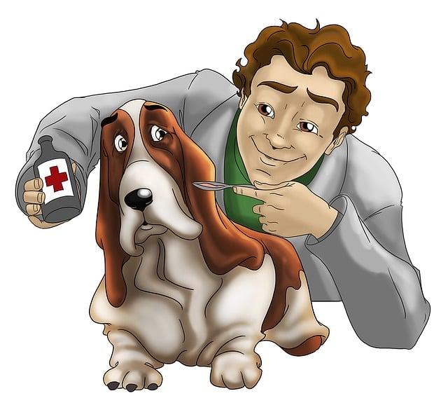 4. Seeking Veterinary Diagnosis: When to Visit a Professional for a Dog's Neck Wart