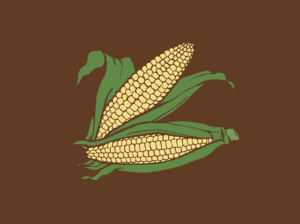 Is It a Corn or Plantar Wart? Identifying Foot Lesions