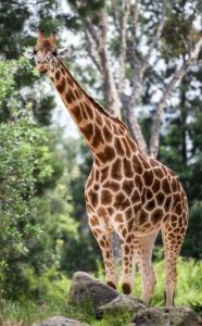 Neck Pit Arm Warts: Skin Issues in Specific Body Areas 4 Neck Pit Arm Warts: Skin Issues in Specific Body Areas