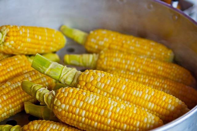 9. Say Goodbye to Corns: Lifestyle Modifications and Podiatric Recommendations